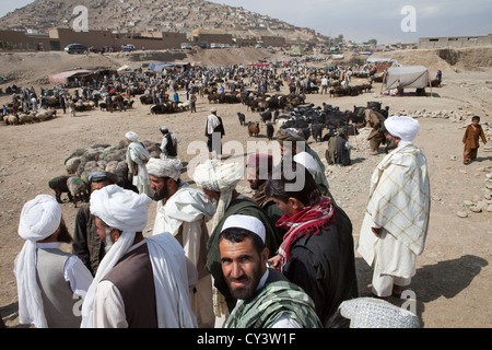 Viehmarkt in Kabul, Afghanistan Stockfoto