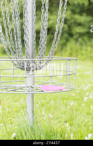 Korb auf Wiese verwendet für Frisbee-golf Stockfoto