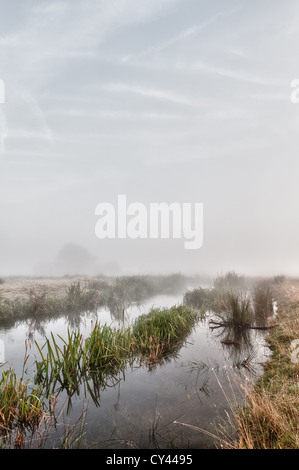 Sonnenaufgang durch frühen Morgennebel Sommer erstellt von Fluß Darent steigt auf nahe gelegenen Feldern launisch neblige Gefühl verborgen Formen Stockfoto