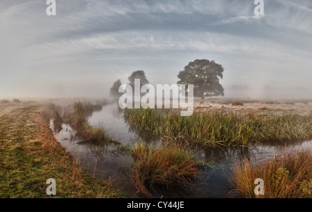 Sonnenaufgang durch frühen Morgennebel Sommer erstellt von Fluß Darent steigt auf nahe gelegenen Feldern launisch neblige Gefühl verborgen Formen Stockfoto