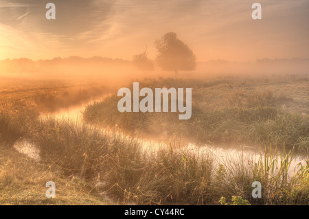 Sonnenaufgang durch frühen Morgennebel Sommer erstellt von Fluß Darent steigt auf nahe gelegenen Feldern launisch neblige Gefühl verborgen Formen Stockfoto