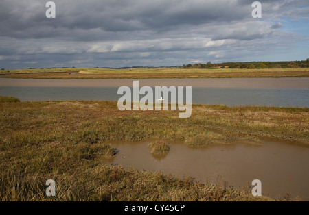 Isolierte Kreuz Kennzeichnung Tod am Meer Marschen Salzwiesen Umwelt Butley Fluss Creek, Suffolk, England Stockfoto