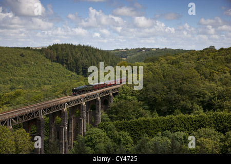 Die königlichen Herzogtums dämpfen über St Pinnock Viadukt Stockfoto