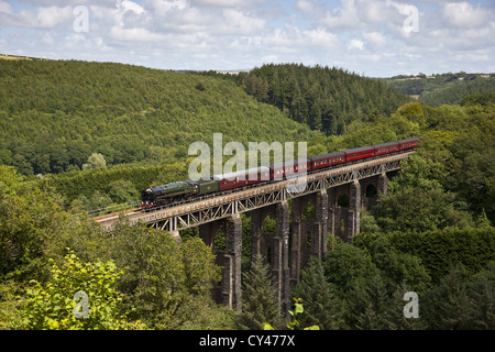 Die königlichen Herzogtums dämpfen über St Pinnock Viadukt Stockfoto