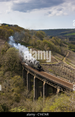 Die königlichen Herzogtums dämpfen über Largin Viadukt Stockfoto