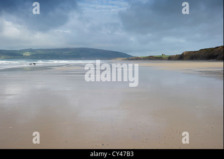 Porth Neigwl: beliebte walisische Surf-Strand bei Ebbe Stockfoto