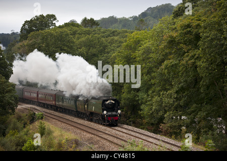 Die königlichen Herzogtums dämpfen über Newbridge Stockfoto