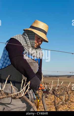 Frau Arbeiter Beschneiden des Weinbergs im Winter, Alentejo, Portugal Stockfoto