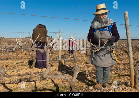 Frau Arbeiter Beschneiden des Weinbergs im Winter, Alentejo, Portugal Stockfoto