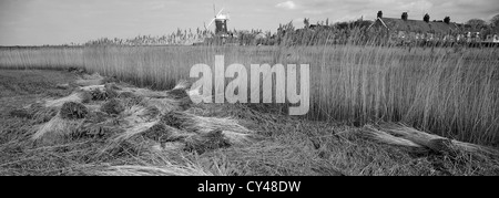 Schwarz / weiß Bild Panorama, Reed Betten, Cley Windmühle, Cley-Next-the-Sea Dorf, die Küste von North Norfolk, England, UK Stockfoto