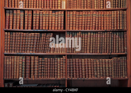 Buchen Sie bei den Prunksaal Nationalbibliothek (ÖNB), Hofburg Palast, Wien, Österreich. Stockfoto