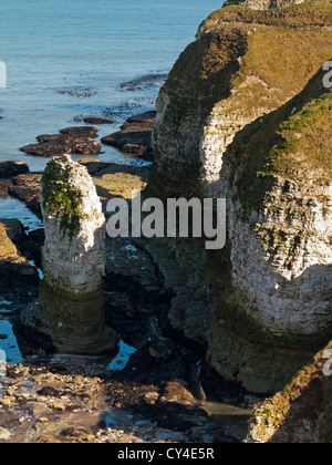 Die Strand und Kreide Klippen bei Flamborough Head an der North Yorkshire Küste England UK ein Special Area of Conservation Stockfoto