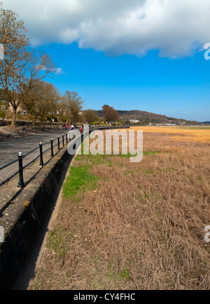 Die Promenade und Wattflächen Grange über Sand ein Badeort in der Region Süd Seen von Cumbria England UK Stockfoto