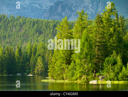 Strbske Pleso, schöner See in der hohen Tatra, Slowakei Stockfoto