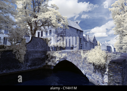 Kanal und Brücke, Brugge Stockfoto