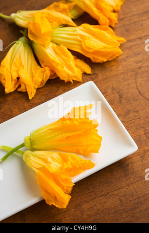 Zucchiniblüten auf Teller, Studio gedreht Stockfoto