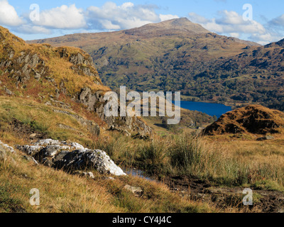 Blick auf die moel Siabod Berg, der über Llyn Gwynant See in Nantgwynant Tal in Snowdonia National Park (Eryri) im Herbst. North Wales, Großbritannien, Großbritannien Stockfoto