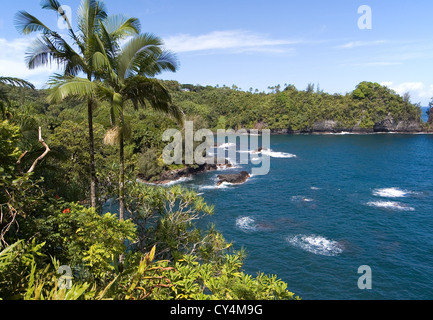 Elk284-2764 Hawaii, HI, Hamakua Küste, Onomea Bay, umgeben von tropischer vegetation Stockfoto