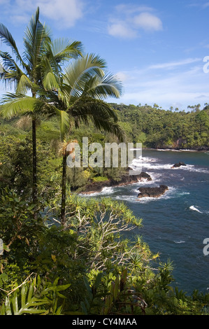 Elk284-2765v Hawaii, HI, Hamakua Küste Onomea Bay, umgeben von tropischer vegetation Stockfoto