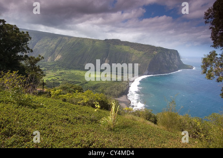 Elk284-2826 Hawaii, HI, Waipio Valley aus übersehen Stockfoto