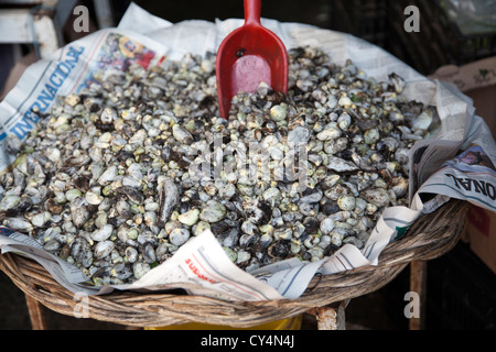 Huitlacoche oder Mais Smut auf Jamaika Markt in Colonia Jamaika im Venustiano Carranza Stadtteil von Mexiko-Stadt Stockfoto