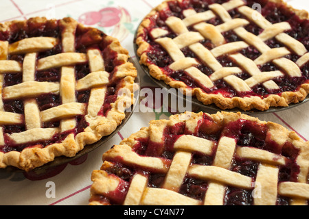 Hausgemachte Concord Trauben Kuchen kühl auf dem Tisch. Stockfoto