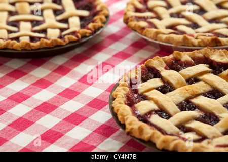 Hausgemachte Concord Trauben Kuchen kühl auf dem Tisch. Stockfoto