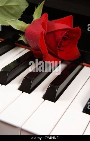 Eine rose Board auf einer Klaviertastatur Stockfoto