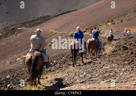 Elk284-4966 Hawaii Maui Haleakala National Park Krater innen Pferd Ausritt Stockfoto