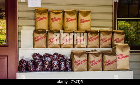 Preiselbeeren zu verkaufen in Manitowish Waters Cranberry-Boulevard in der Nähe von Manitowish Waters, Wisconsin Stockfoto