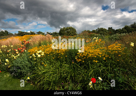 Eine Vielzahl von gelben Sommerblumen bei Floriade 2012 World Horticultural Expo Venlo Holland Niederlande Stockfoto