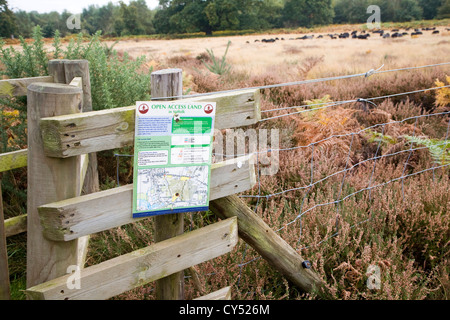 Zeichen zuordnen Open Access Land Erhaltung der Hebridean Schafe weiden Sutton Heath, Suffolk, England Stockfoto