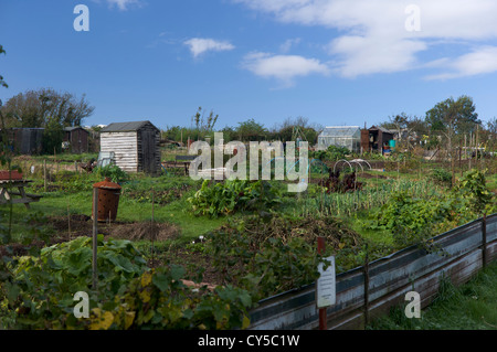 Kleingärten, Devon UK Stockfoto