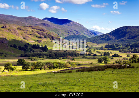 Naddle Tal von Castlerigg nr Keswick Stockfoto