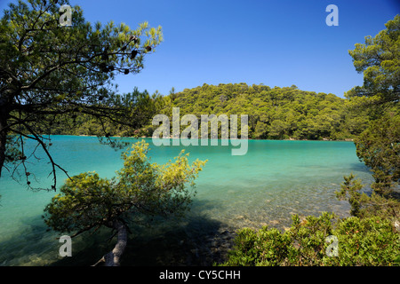 Kroatien, Dalmatien, Insel Mljet, See Malo Jezero Stockfoto