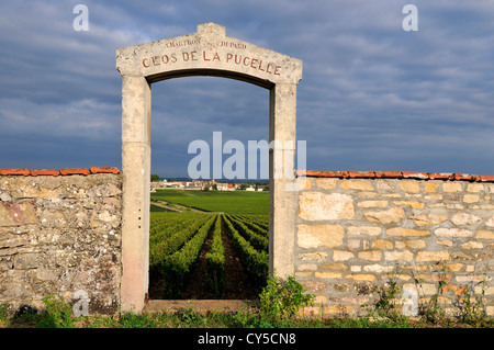 Portal der Clos de la Pucelle, Puligny Montrachet 1er Cru, Cote d'Or, Bourgogne Franche Comte, Frankreich, Europa Stockfoto