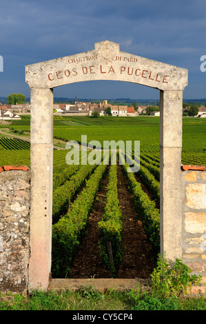 Tor zum Clos De La Pucelle, Puligny Montrachet, Cote d ' or, Burgund, Frankreich Stockfoto