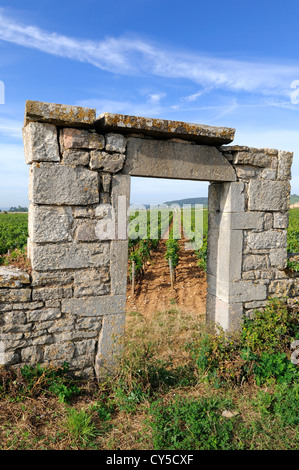 Portal der Weinberg in Burgund in der Nähe von Beaune, Cote d ' or, Frankreich, Europa Stockfoto