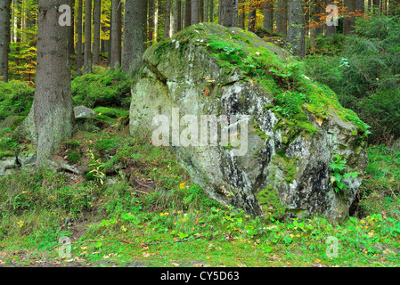 Moos bedeckte Felsbrocken im Wald in der Nähe von Schweidnitzer Klodzko niedriger Schlesien Polen Stockfoto