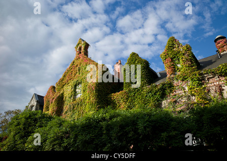 Efeuumranktes Haus Azay le Rideau, Loire, Frankreich Stockfoto