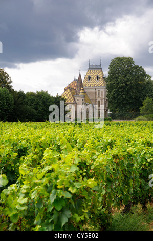 Chateau Corton Andre. Aloxe Corton. Cote d'Or. Burgunder. Bourgogne Franche Comte. Frankreich Stockfoto