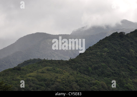 Die Skyline Ponmudi Hills, Kerala, Indien Stockfoto