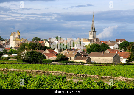 Weinberg am Dorf von Meursault, Burgund Weinstraße, Cote d ' or, Burgund, Frankreich Stockfoto