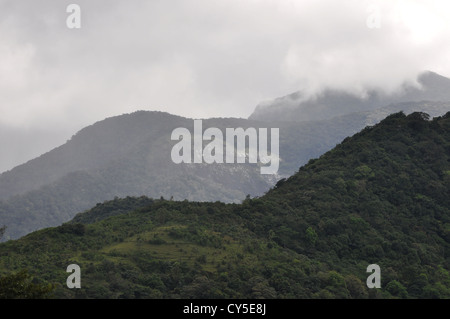 Die Skyline Ponmudi Hills, Kerala, Indien Stockfoto