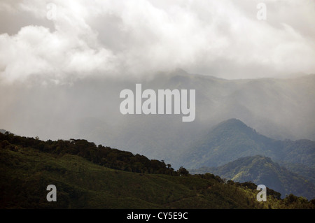 Die Skyline Ponmudi Hills, Kerala, Indien Stockfoto