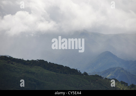 Die Skyline Ponmudi Hills, Kerala, Indien Stockfoto