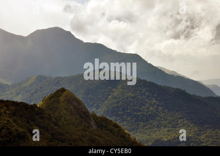 Die Skyline Ponmudi Hills, Kerala, Indien Stockfoto