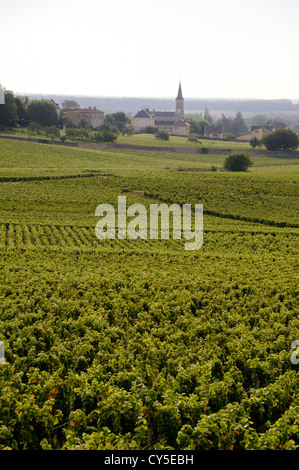 Dorf Aloxe-Corton, Cote de Beaune, Cote d'Or. Burgunder. Bourgogne Franche Comte. Frankreich Stockfoto