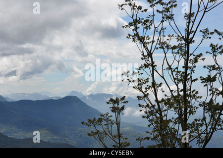 Die Skyline Ponmudi Hills, Kerala, Indien Stockfoto