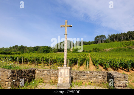 Kreuz des Weinbergs in Burgund. Cote d'Or. Bourgogne Franche Comte. Frankreich. Stockfoto